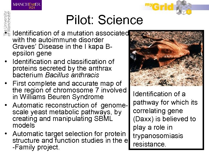 Pilot: Science • Identification of a mutation associated with the autoimmune disorder Graves’ Disease