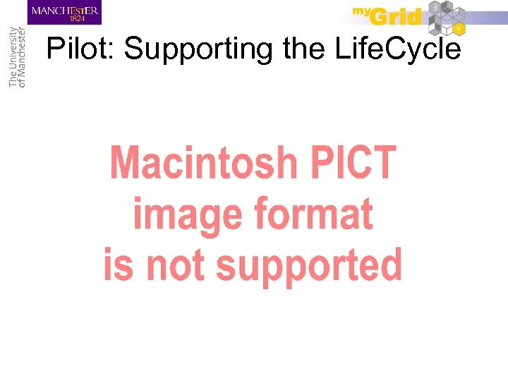 Pilot: Supporting the Life. Cycle 