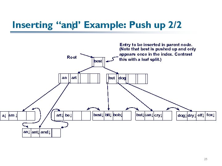 Inserting “and Example: Push up 2/2 ↓” Root an a↓ am ↓ art↓ best