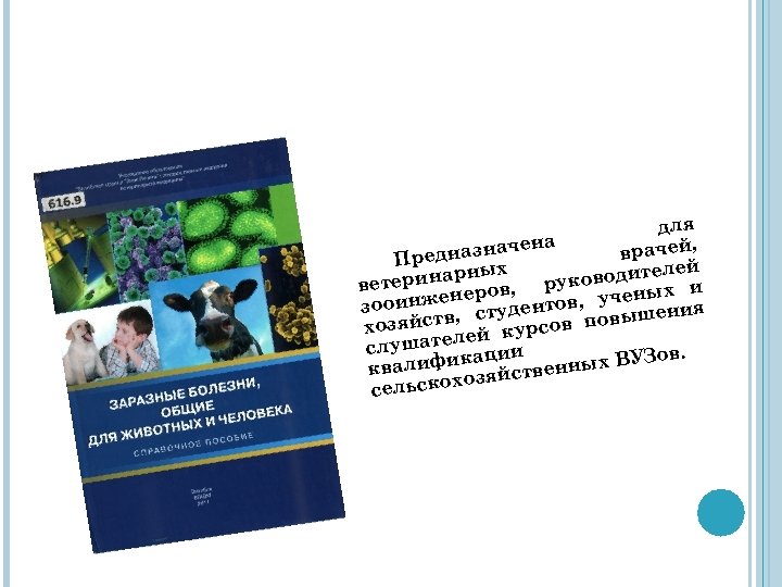 для ена врачей, дназнач ре П х лей ринарны в, руководите и вете неро