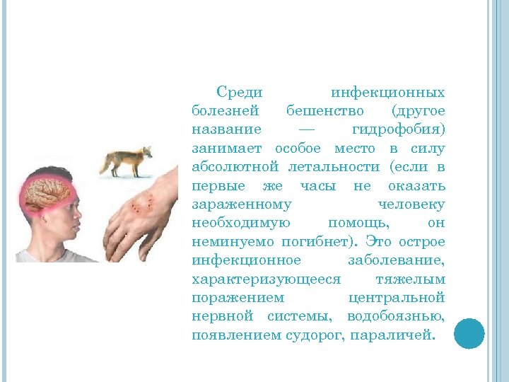 Среди инфекционных болезней бешенство (другое название — гидрофобия) занимает особое место в силу абсолютной