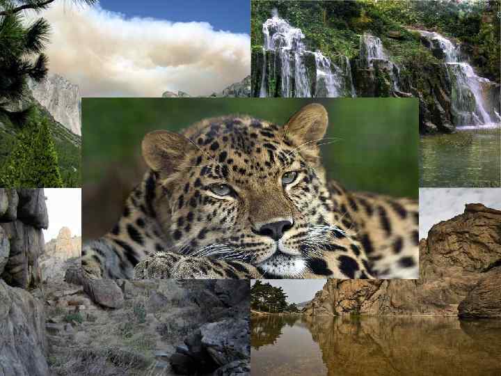 Зона мира и жизни Алмазные горы 