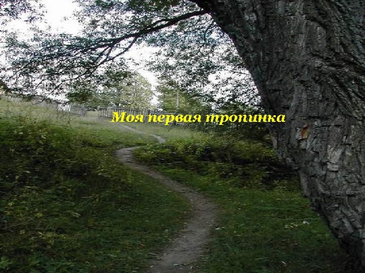 Моя первая тропинка 