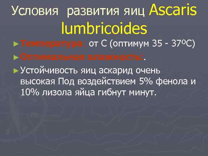 Условия развития яиц Аscaris lumbricoides ► Температура: от С (оптимум 35 - 37ºС) ►