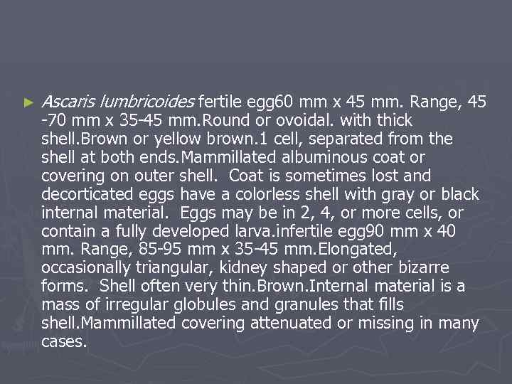 ► Ascaris lumbricoides fertile egg 60 mm x 45 mm. Range, 45 -70 mm