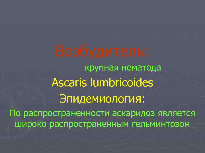 Возбудитель: крупная нематода Аscaris lumbricoides Эпидемиология: По распространенности аскаридоз является широко распространенным гельминтозом 