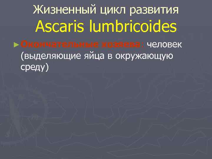 Жизненный цикл развития Аscaris lumbricoides ► Окончательные хозяева: человек (выделяющие яйца в окружающую среду)