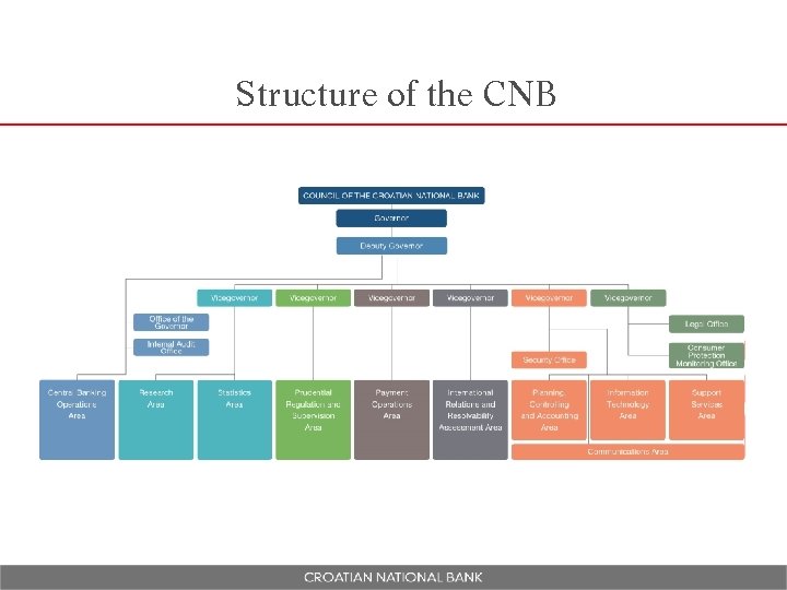 Structure of the CNB 
