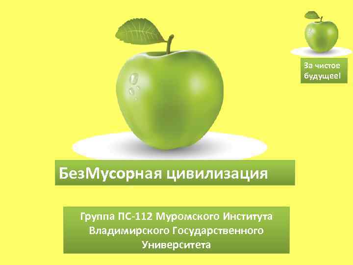 За чистое будущее! Без. Мусорная цивилизация Группа ПС-112 Муромского Института Владимирского Государственного Университета 