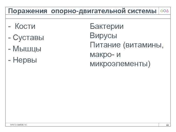 Поражения опорно-двигательной системы - Кости - Суставы - Мышцы - Нервы Бактерии Вирусы Питание