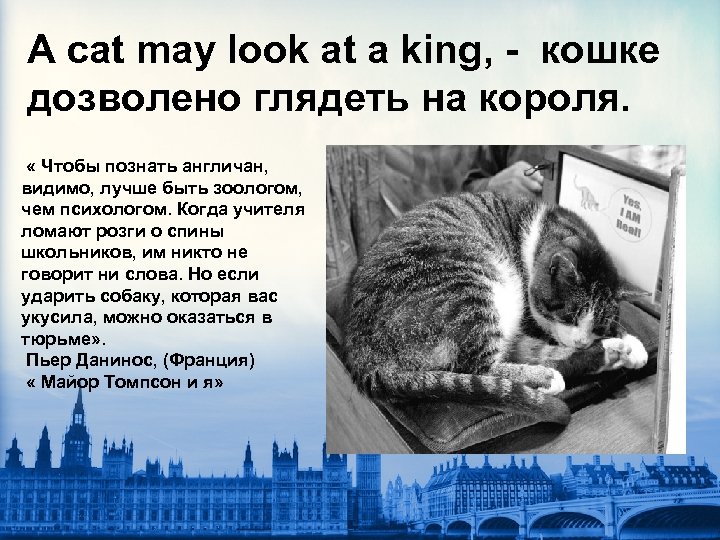 A cat may look at a king, - кошке дозволено глядеть на короля. «