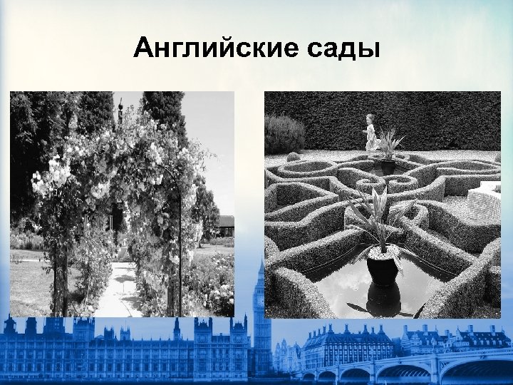 Английские сады 
