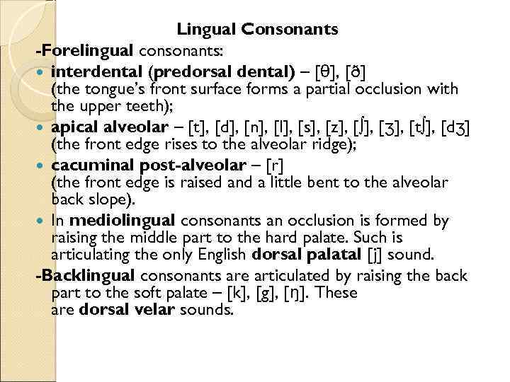 Lingual Consonants -Forelingual consonants: interdental (predorsal dental) – [θ], [ð] (the tongue’s front surface