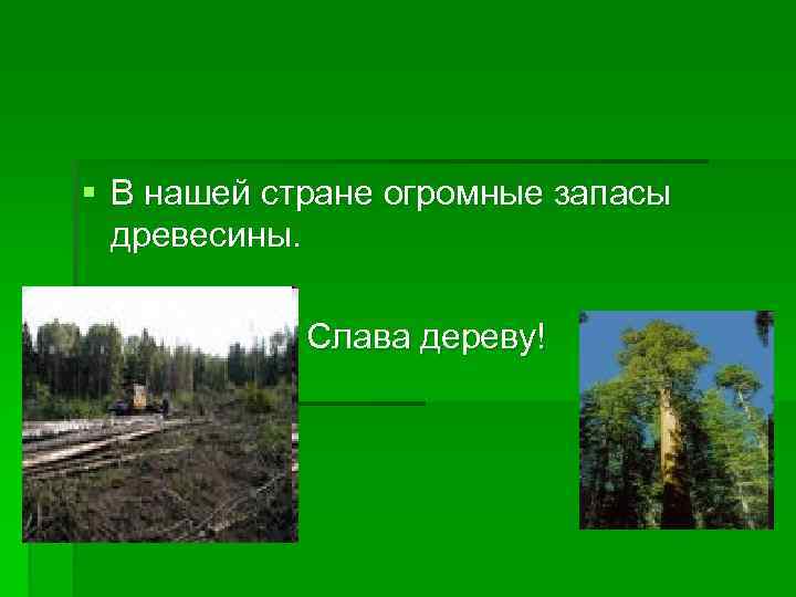 § В нашей стране огромные запасы древесины. Слава дереву! 