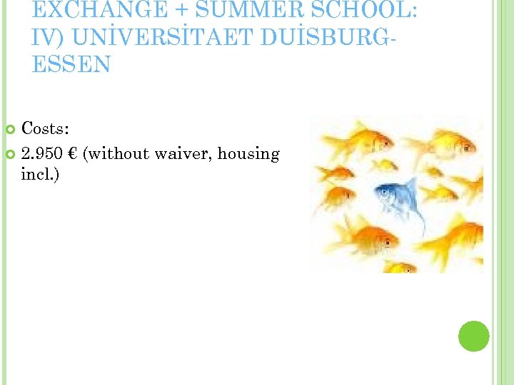 EXCHANGE + SUMMER SCHOOL: IV) UNİVERSİTAET DUİSBURGESSEN Costs: 2. 950 € (without waiver, housing
