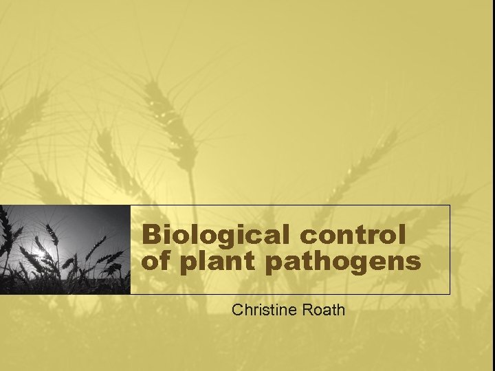 Biological control of plant pathogens Christine Roath 