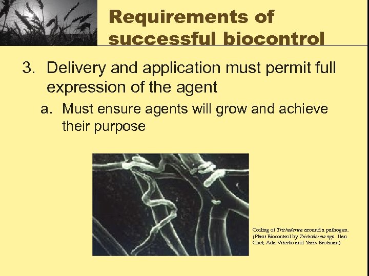 Requirements of successful biocontrol 3. Delivery and application must permit full expression of the