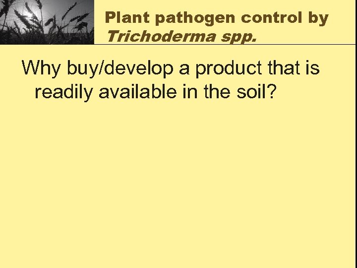 Plant pathogen control by Trichoderma spp. Why buy/develop a product that is readily available