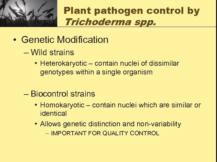 Plant pathogen control by Trichoderma spp. • Genetic Modification – Wild strains • Heterokaryotic