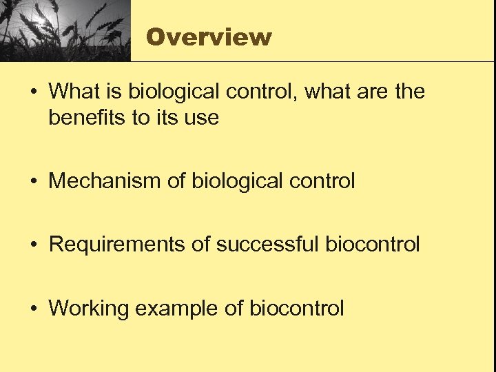 Overview • What is biological control, what are the benefits to its use •