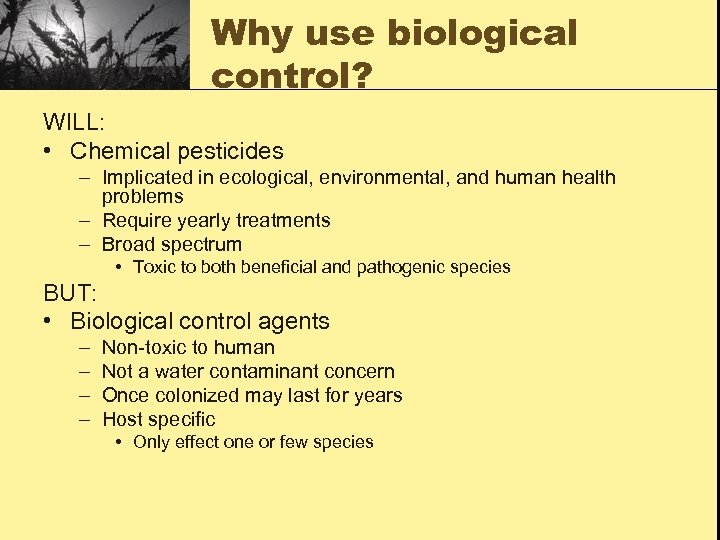 Why use biological control? WILL: • Chemical pesticides – Implicated in ecological, environmental, and