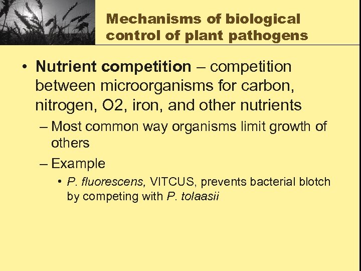 Mechanisms of biological control of plant pathogens • Nutrient competition – competition between microorganisms