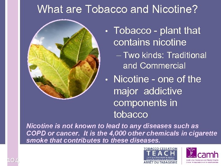  What are Tobacco and Nicotine? • Tobacco - plant that contains nicotine –