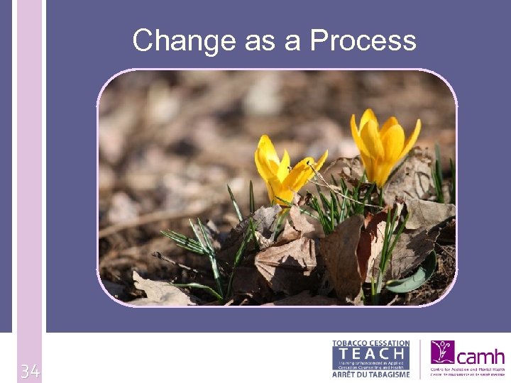 Change as a Process 34 