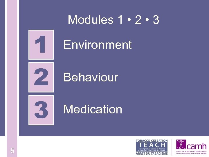 Modules 1 • 2 • 3 1 2 3 6 Environment Behaviour Medication 