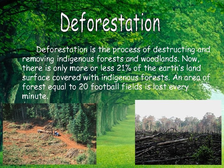 Deforestation is the process of destructing and removing indigenous forests and woodlands. Now, there