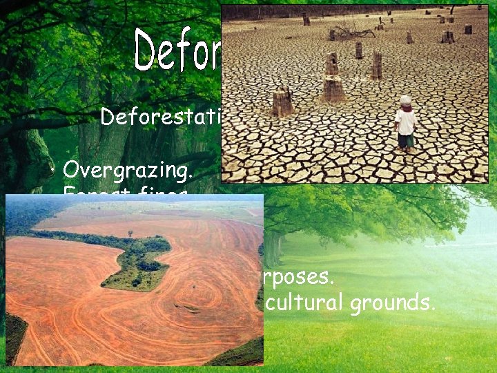 Deforestation is caused by: · Overgrazing. · Forest fires. · Urban construction. · Industrialization.