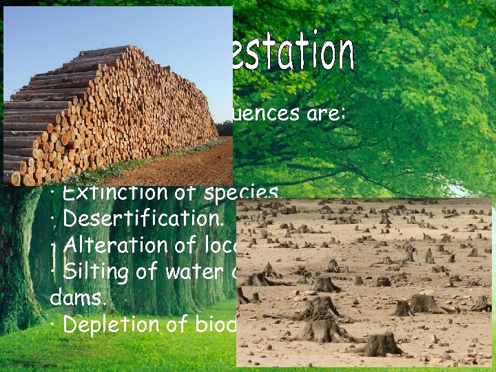 Some consequences are: · Soil erosion. · Extinction of species. · Desertification. · Alteration