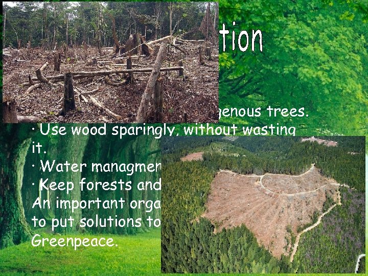 Some solutions are: · Reforestation, plant indigenous trees. · Use wood sparingly, without wasting