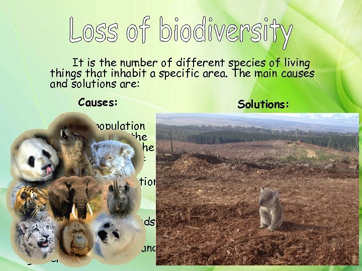 It is the number of different species of living things that inhabit a specific