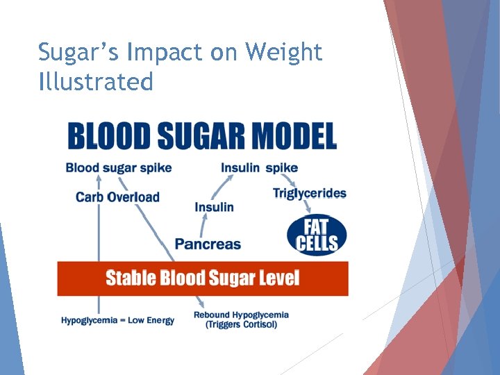 Sugar’s Impact on Weight Illustrated 