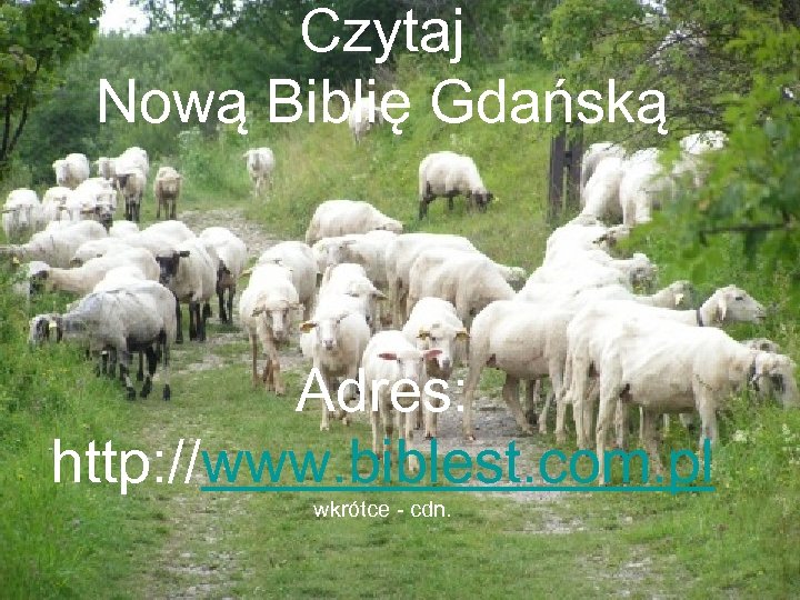 Czytaj Nową Biblię Gdańską Adres: http: //www. biblest. com. pl wkrótce - cdn. 