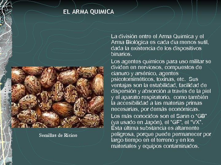 EL ARMA QUIMICA Semillas de Ricino La división entre el Arma Química y el