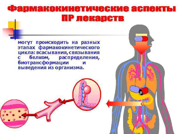 могут происходить на разных этапах фармакокинетического цикла: всасывания, связывания с белком, распределения, биотрансформации и