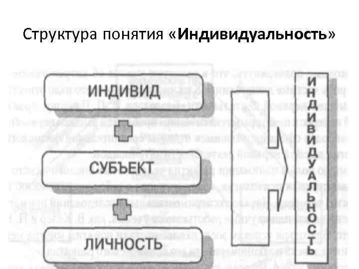 Структура понятия «Индивидуальность» 