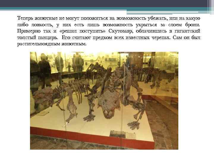 Теперь животные не могут положиться на возможность убежать, или на какую либо ловкость, у