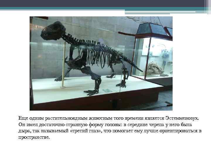 Еще одним растительноядным животным того времени является Эстемменозух. Он имел достаточно странную форму головы: