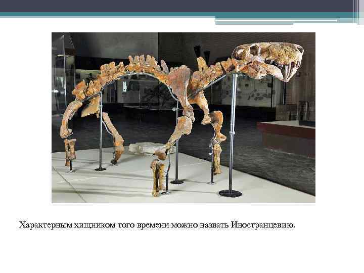 Характерным хищником того времени можно назвать Иностранцевию. 