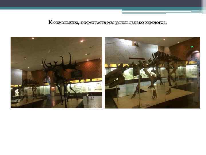 К сожалению, посмотреть мы успел далеко немногое. 