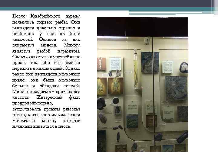 После Кембрийского взрыва появились первые рыбы. Они выглядели довольно странно и необычно: у них