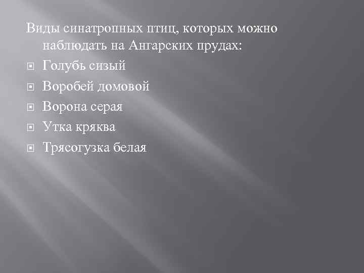 Виды синатропных птиц, которых можно наблюдать на Ангарских прудах: Голубь сизый Воробей домовой Ворона