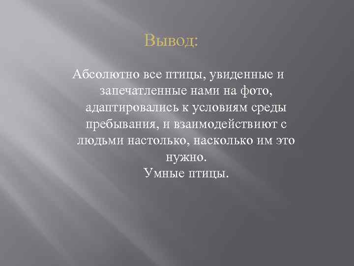 Вывод: Абсолютно все птицы, увиденные и запечатленные нами на фото, адаптировались к условиям среды