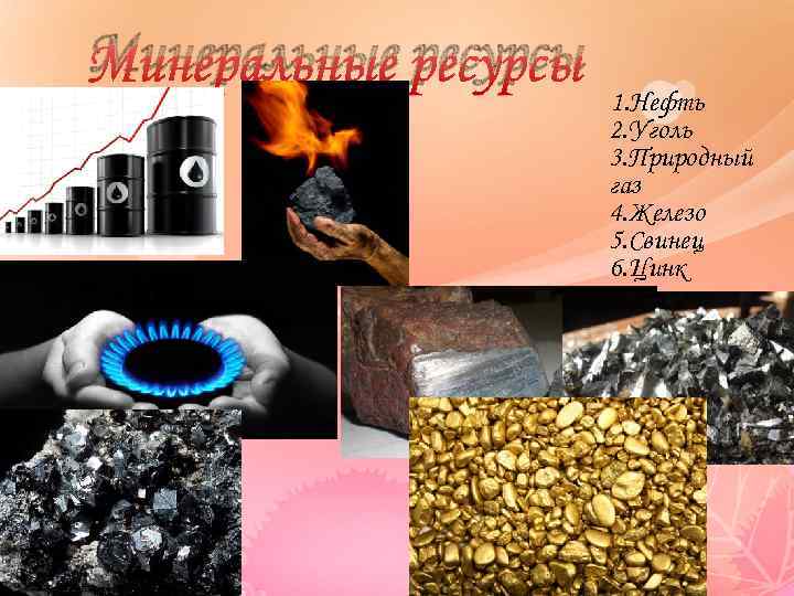 Минеральные ресурсы 1. Нефть 2. Уголь 3. Природный газ 4. Железо 5. Свинец 6.