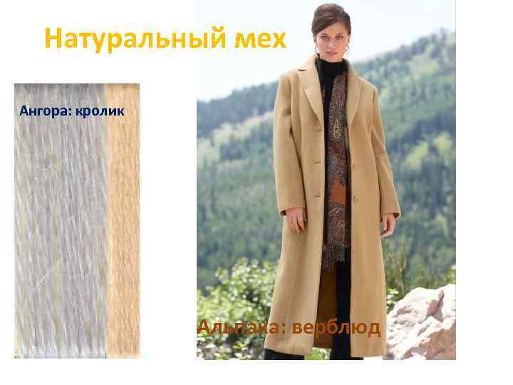 Натуральный мех Ангора: кролик Альпака: верблюд 