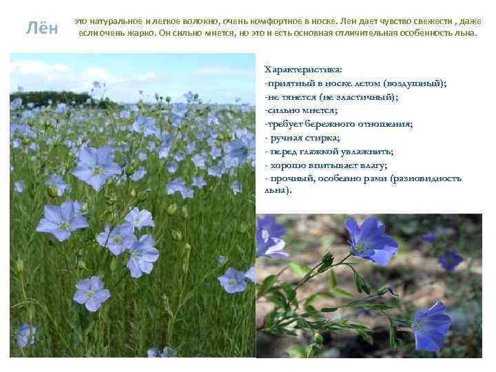 Лён это натуральное и легкое волокно, очень комфортное в носке. Лен дает чувство свежести