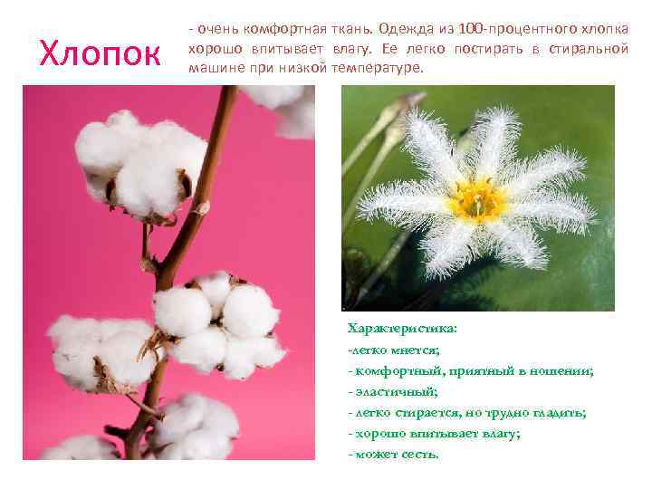 Хлопок - очень комфортная ткань. Одежда из 100 -процентного хлопка хорошо впитывает влагу. Ее